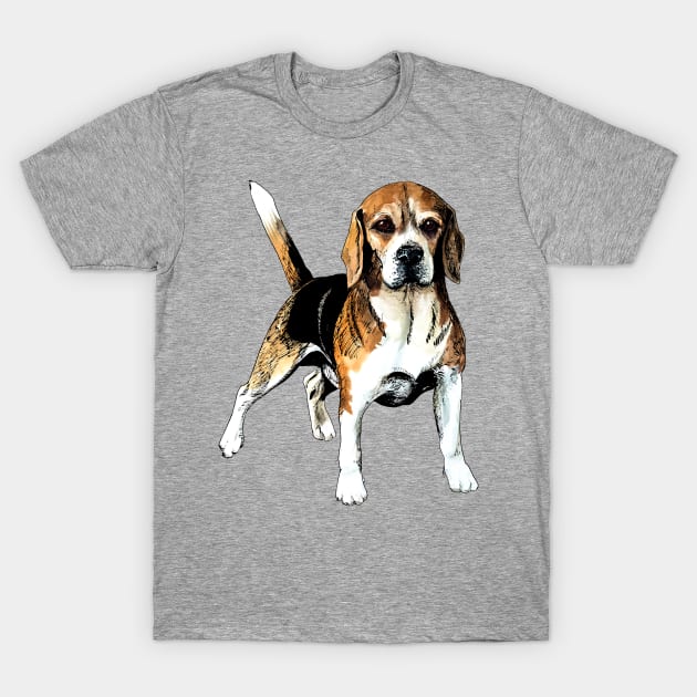 beagle T-Shirt by VicaVeresk